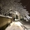 snow
