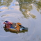 DSCF4371(1)