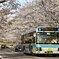 茨城県-取手スポーツセンター付近にて