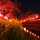 真岡の夜(1)