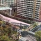 桜　花筏