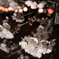 夜桜2019