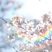 フレアと桜