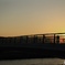 桜観音橋