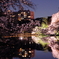 東京の公園45