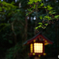 Pathway to the Isonokami jingu shrine