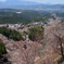 吉野山2019