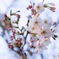3月中旬の桜