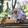 柴犬とおっちゃん
