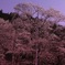 AEA59060-E159-465E-9267-6DDB5E5AEE53
