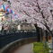 春の通路