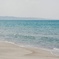 海辺