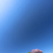 さくら♪