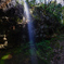 新潟滝巡り８  白玉の滝 雄滝