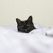 ねこ
