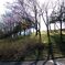 公園にて逆光
