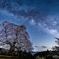 醍醐桜と天の川