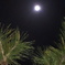 20190420_000508