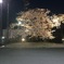 7EF7EC2D-55DF-4948-870B-10ED8596FD6B
