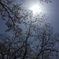 25F0C04F-4957-4723-B684-8E726025FAAE