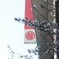 銀座三越