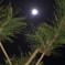 20190420_000350
