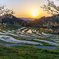 棚田の朝