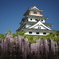城