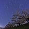 背割堤夜空Ⅱ