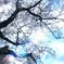 DF4B3593-5BE0-4E2E-BC6E-34163B7A929C