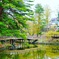 近くの公園