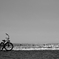 Afternoon Sea