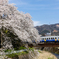 永平寺川橋梁