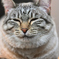 にっこり