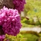 DDD9C203-246B-41EF-A8E8-03A1A45F8BDB