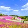 八王子山公園①