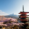 日本の春