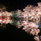 弁天橋