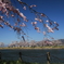 治田公園はるだ～！_2