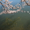 水鏡