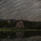 桜と星景