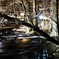 dark river