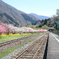 列車は来ない
