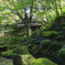 春の教林坊