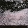 色即是空