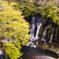 富士宮白糸の滝５