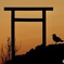 90B67C75-A432-4D2D-AD6C-51750B67F611
