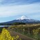 今朝の富士山