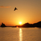 楠泊の夕景
