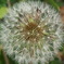 DSCF0097